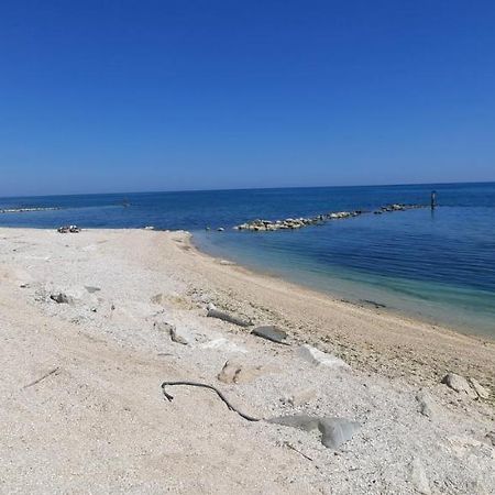 Casamarina Apartment Marina di Montemarciano Bagian luar foto