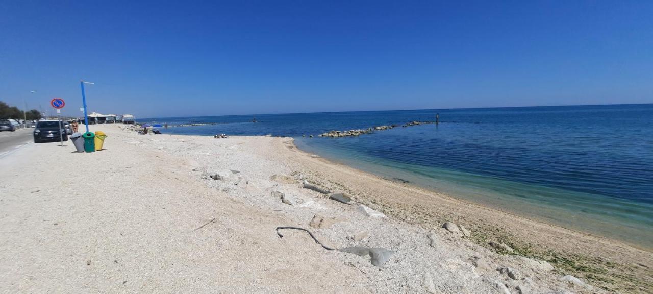 Casamarina Apartment Marina di Montemarciano Bagian luar foto